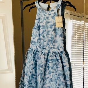 ✨SOLD✨ Blue Spring Fit and Flare dress